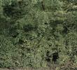 4._Untitled_#13_(Backwash)