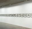JANE BROWN COLOURBLIND 2013-1