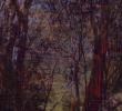 D.53_Near_Heidelberg_Nightfall